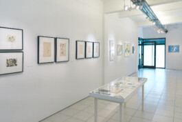 — Galería Towpyha