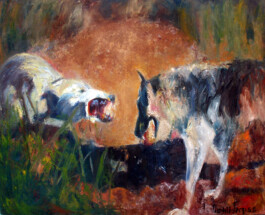  — Galería Towpyha