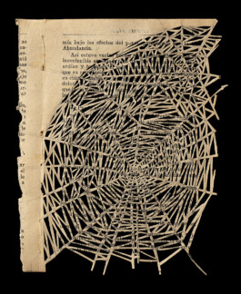  — Galería Towpyha