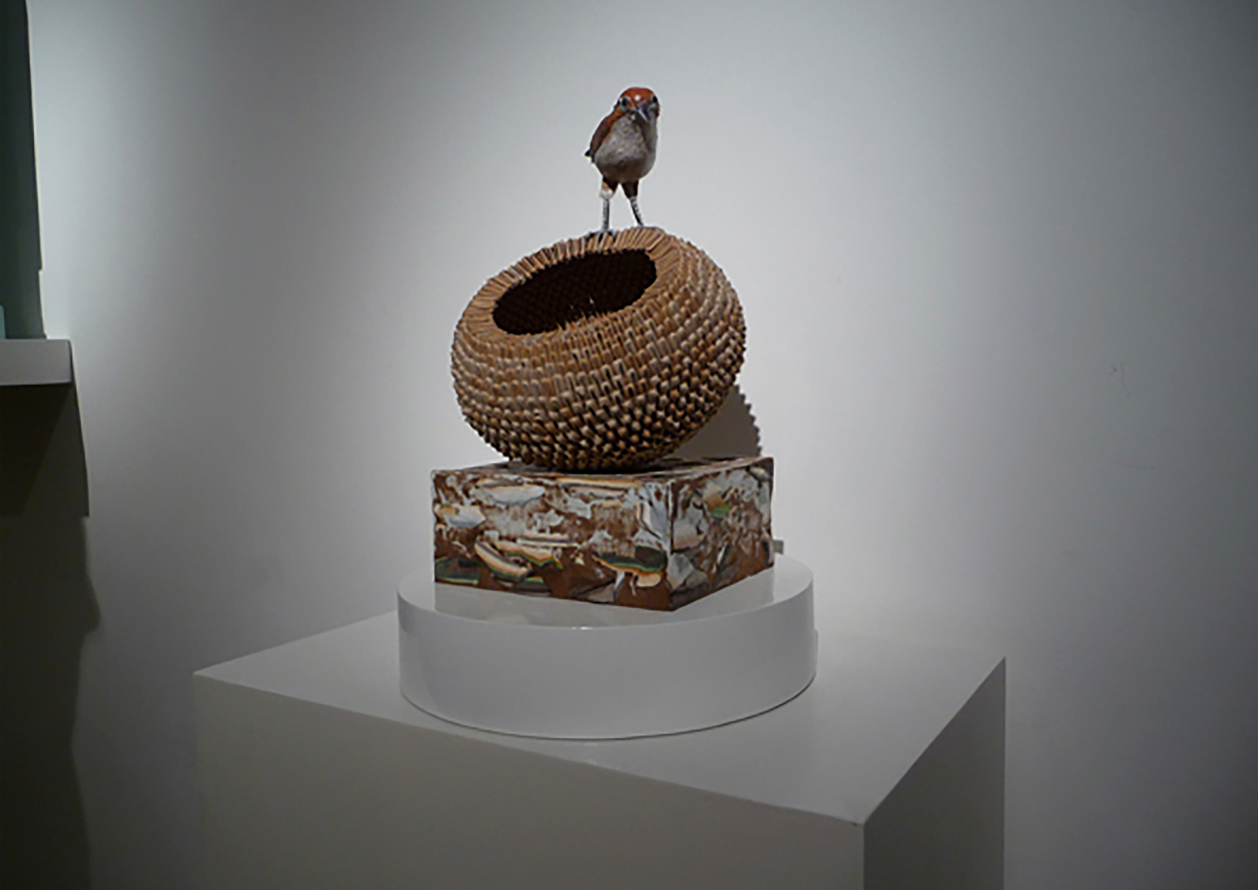  — Galería Towpyha