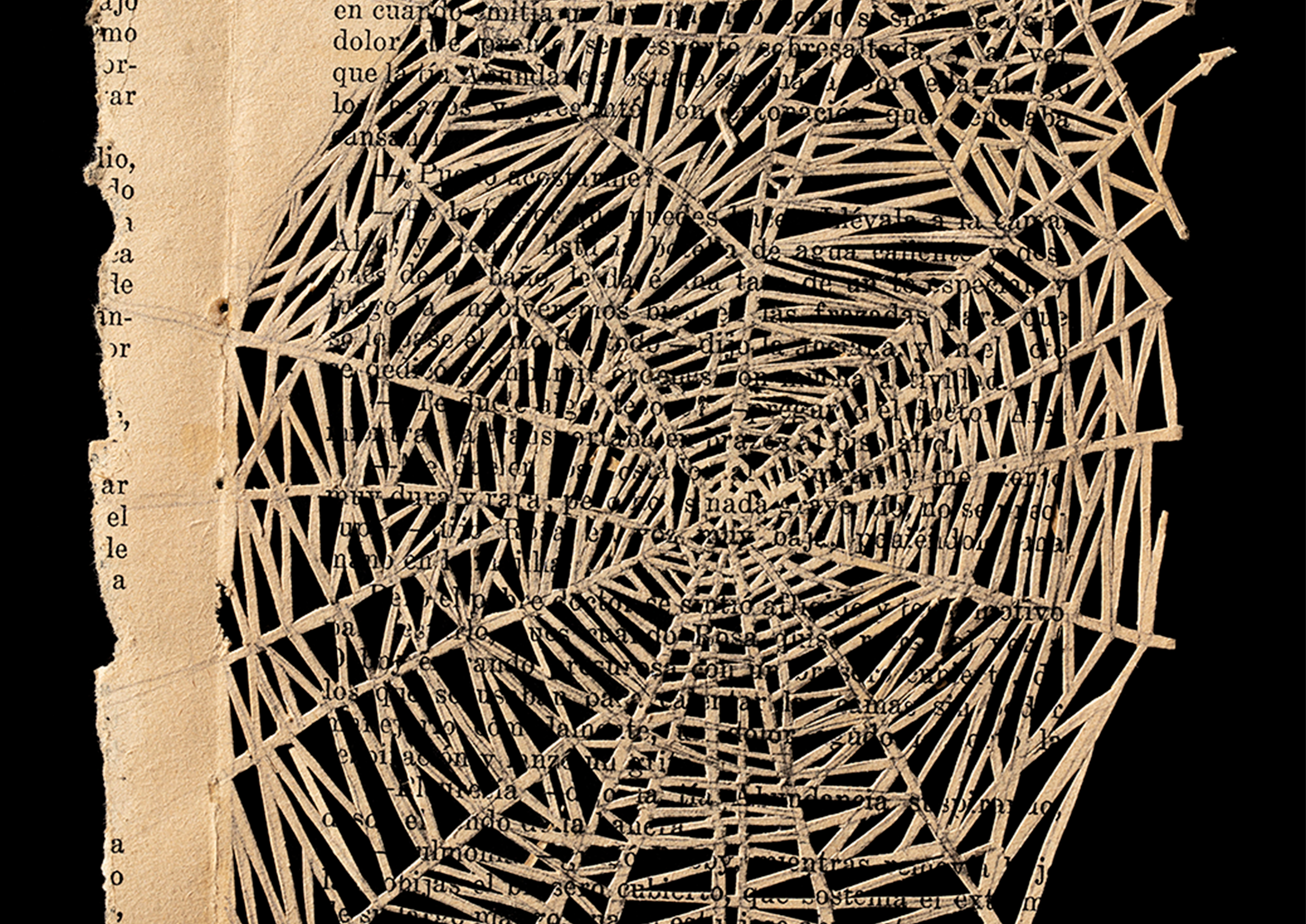  — Galería Towpyha