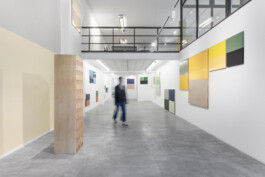  — Galería Towpyha