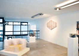  — Galería Towpyha